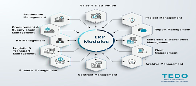 Enterprise Resource Planing (ERP)